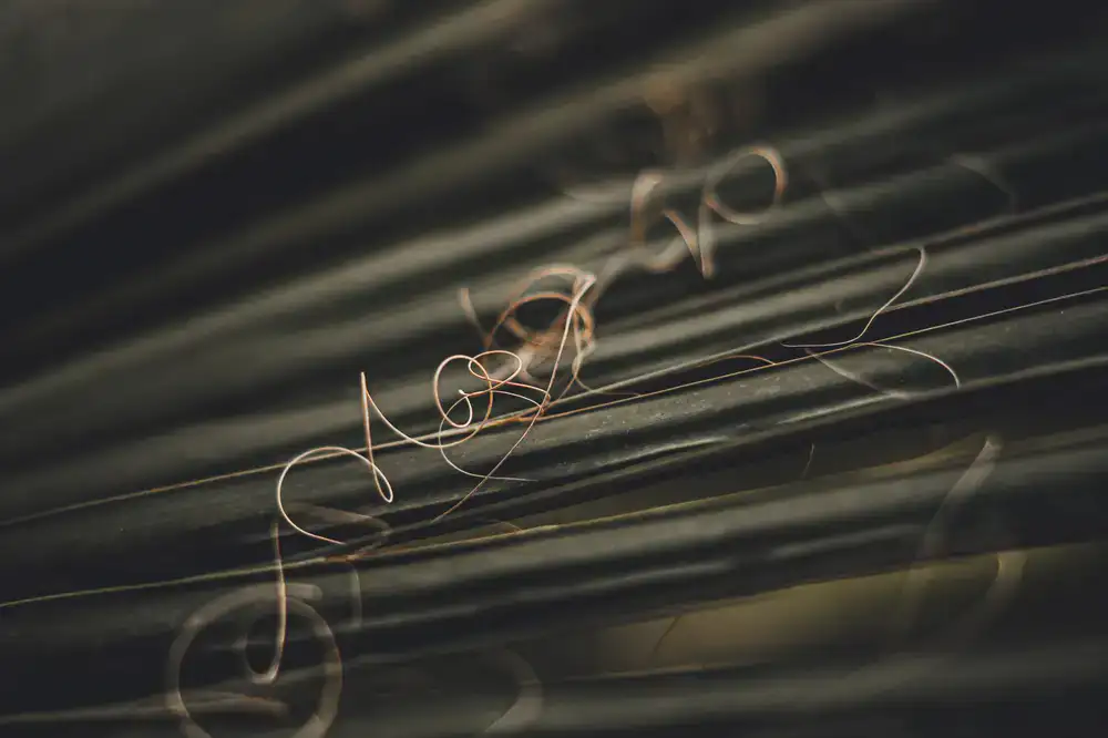Botanical line art background
