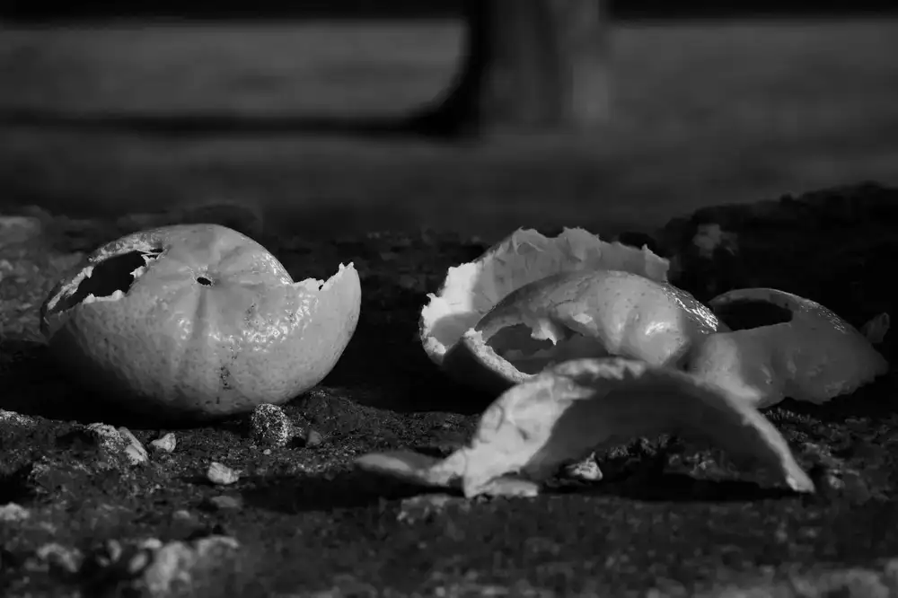 Fresh citrus peels
