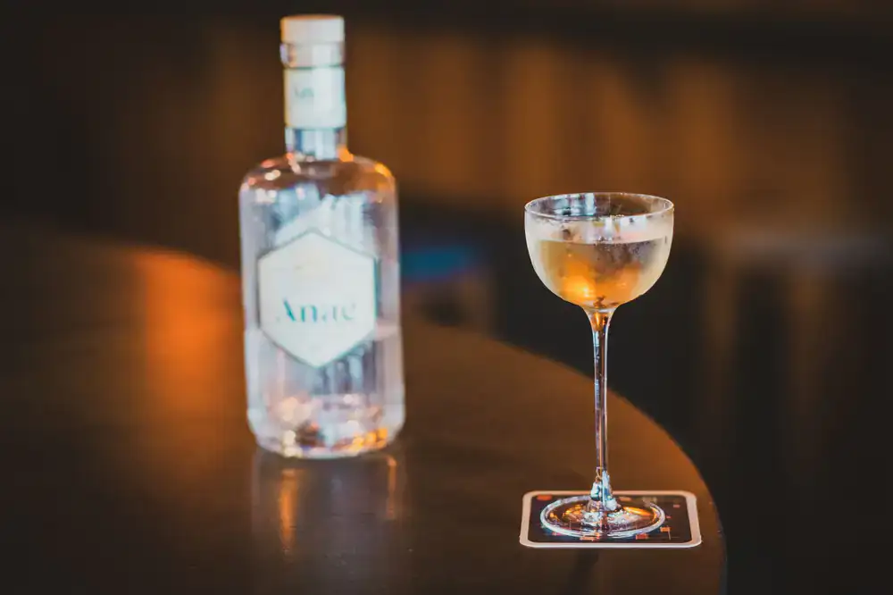 Close up of a premium gin tasting setup